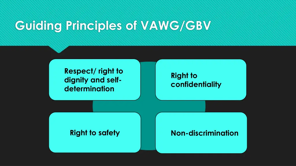 guiding principles of vawg gbv