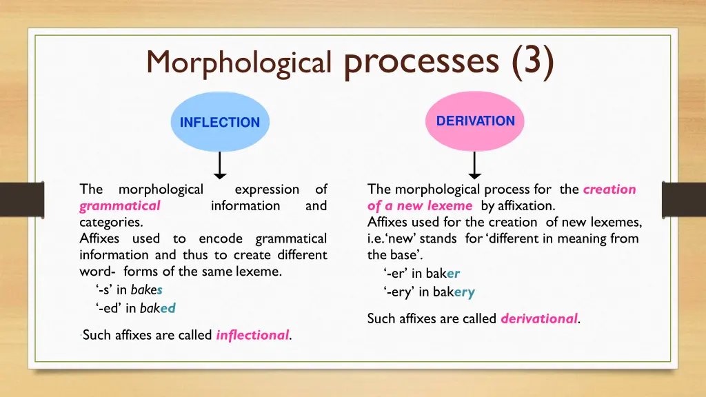 morphological processes 3