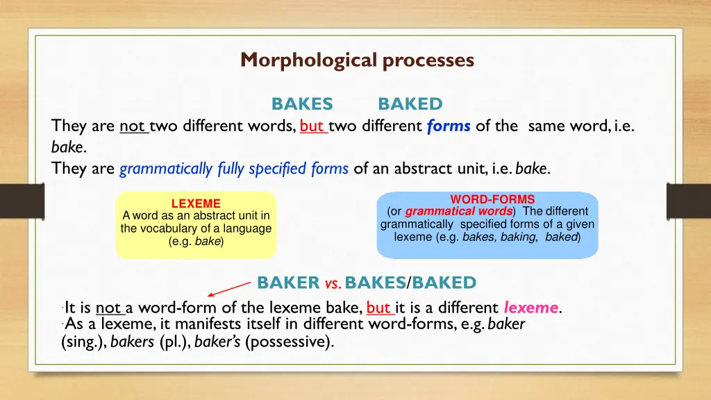 morphological processes