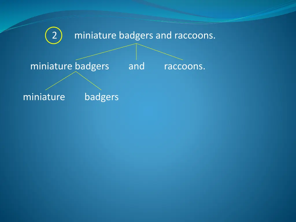 2 miniature badgers and raccoons