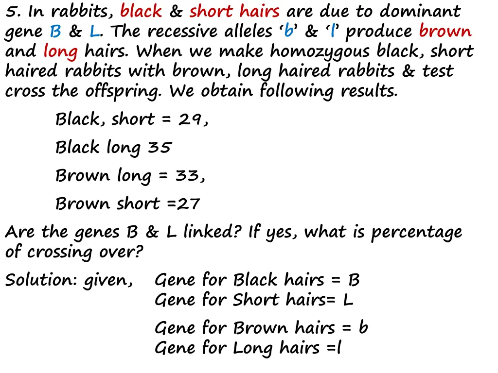 5 in rabbits black short hairs