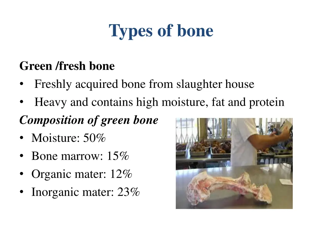 types of bone