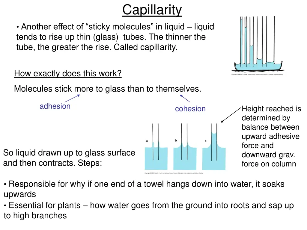 capillarity