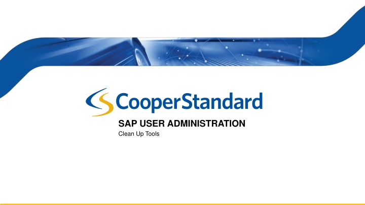 sap user administration clean up tools