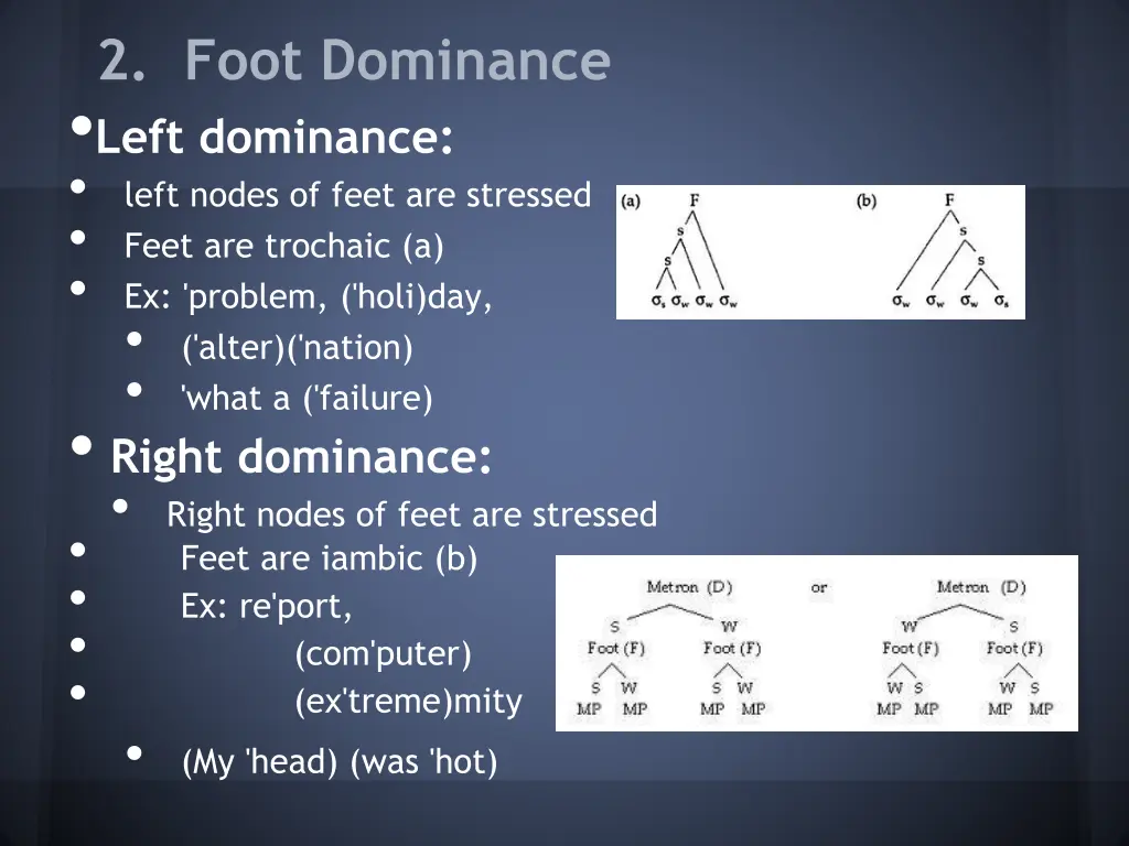 2 foot dominance left dominance left nodes