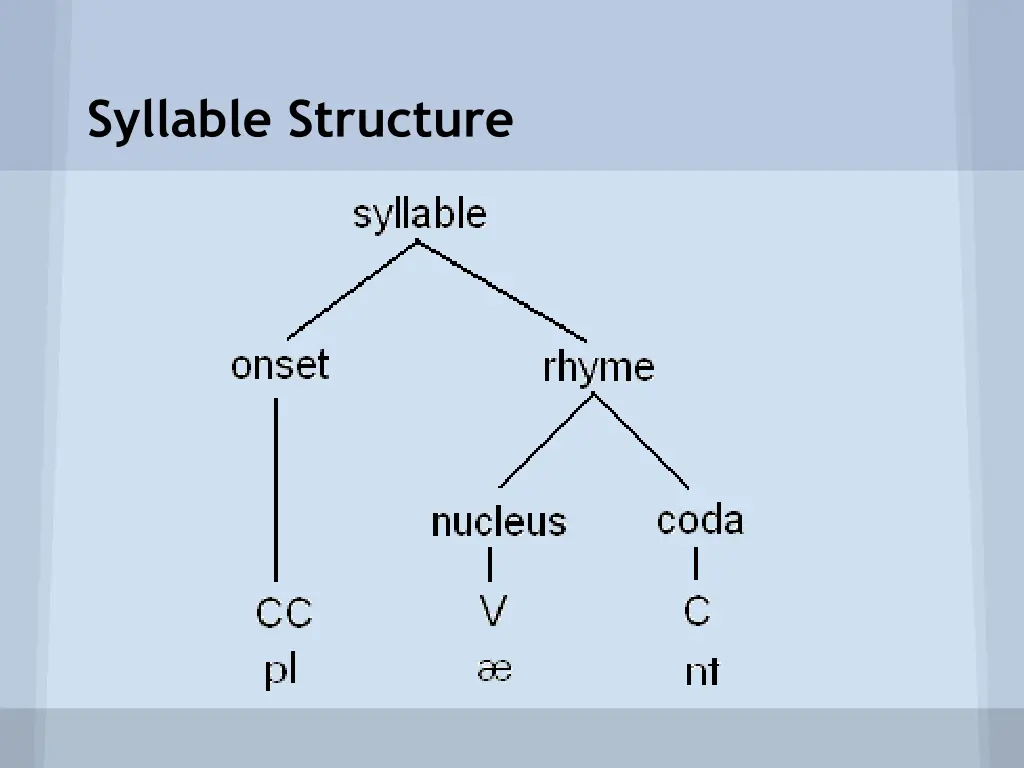 syllable structure