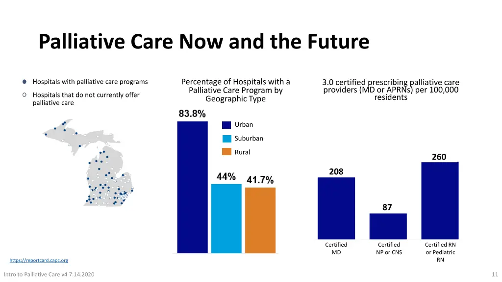 palliative care now and the future