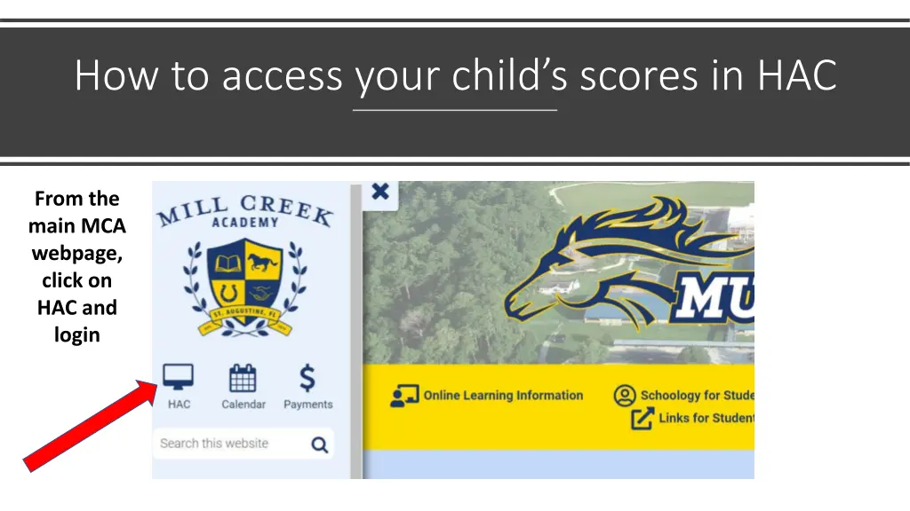 how to access your child s scores in hac