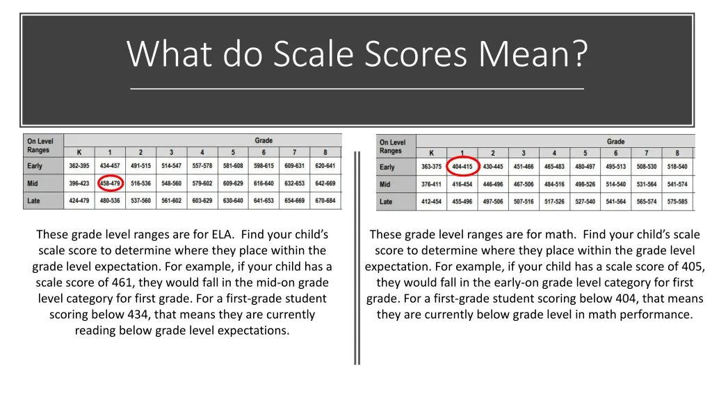 what do scale scores mean