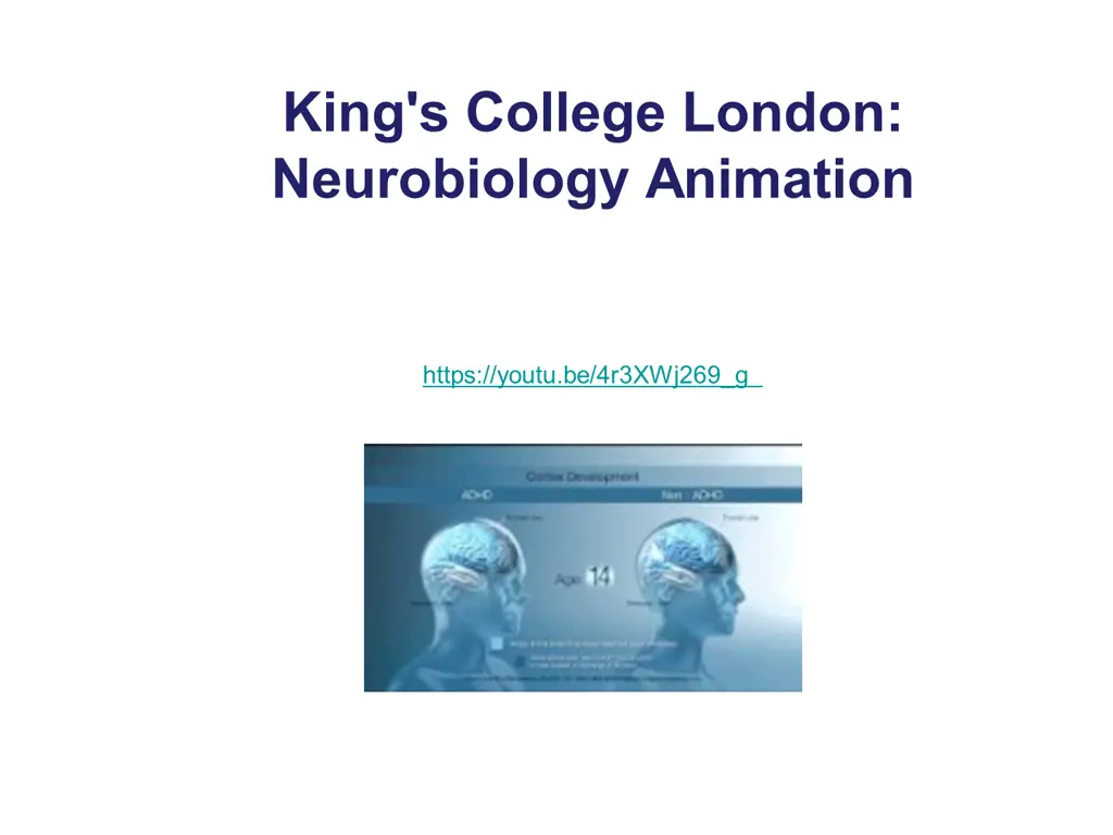 king s college london neurobiology animation