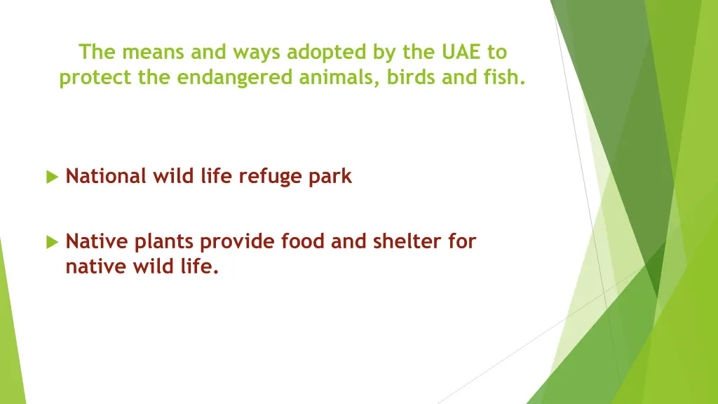 the means and ways adopted by the uae to protect