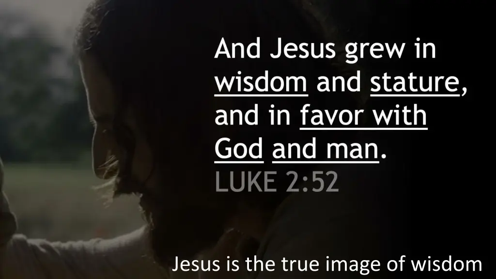 jesus is the true image of wisdom