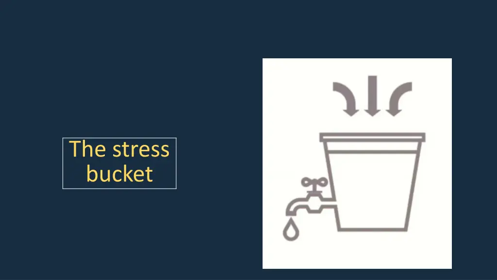 the stress bucket