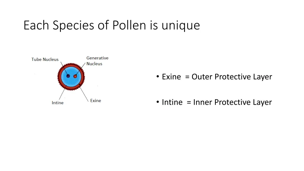 each species of pollen is unique