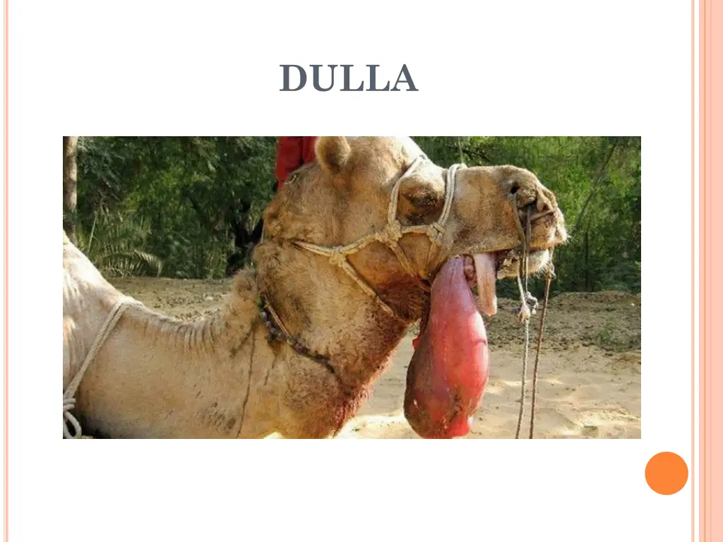 dulla