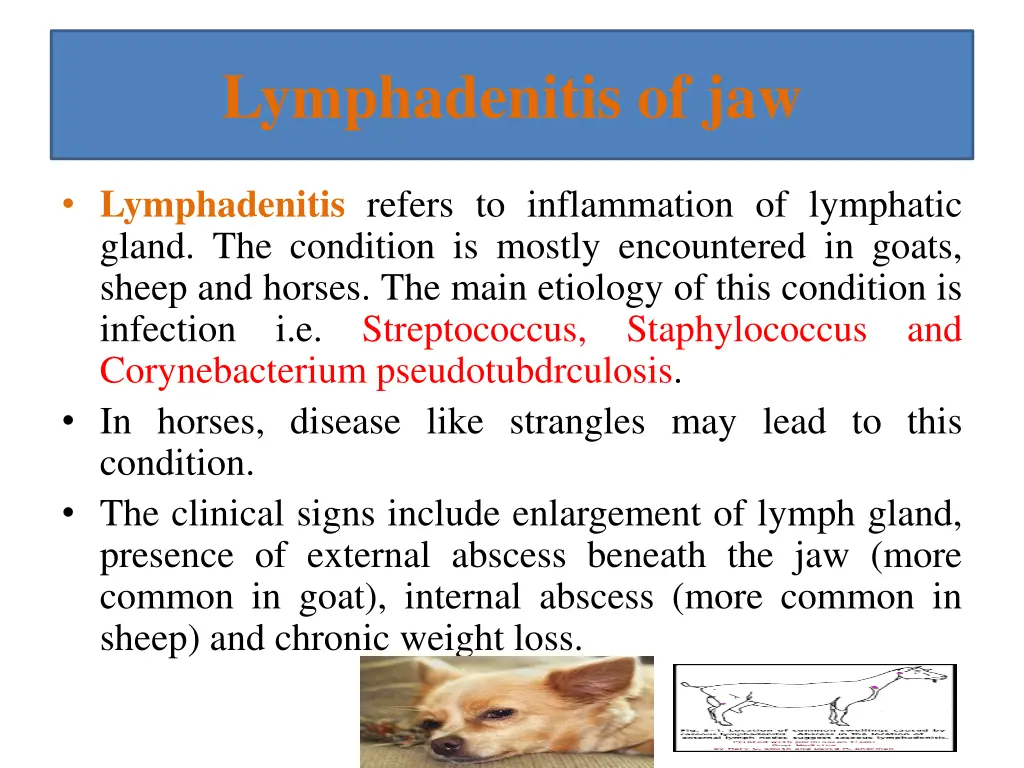 lymphadenitis of jaw