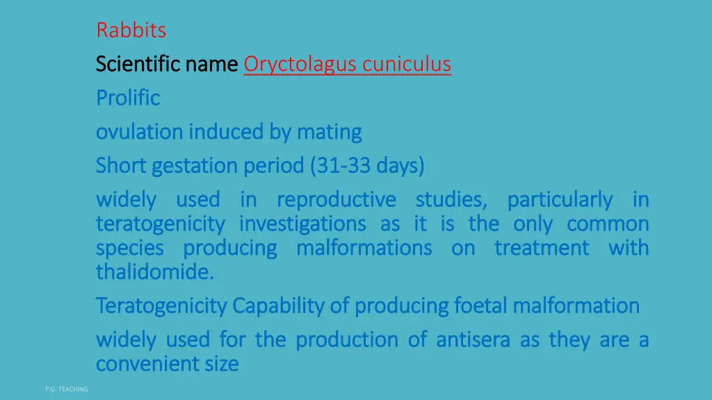 rabbits scientific name scientific name