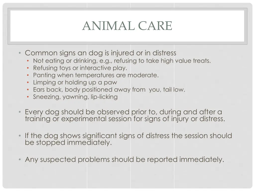 animal care