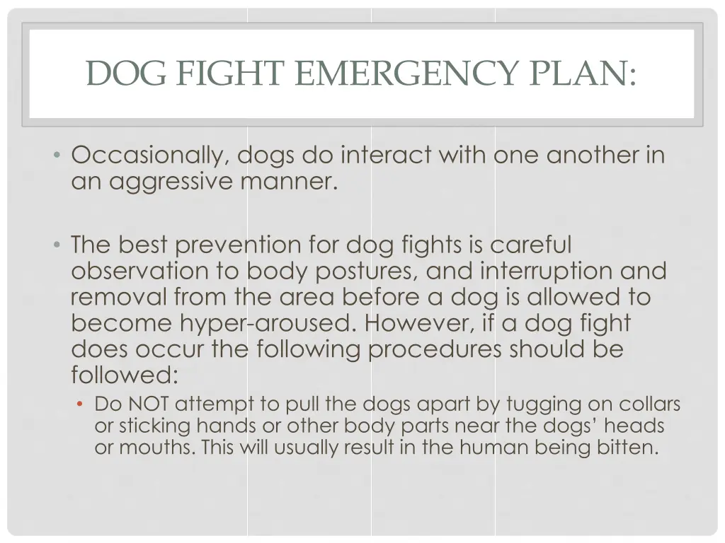 dog fight emergency plan