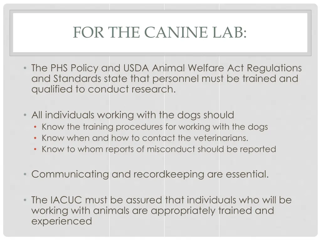 for the canine lab