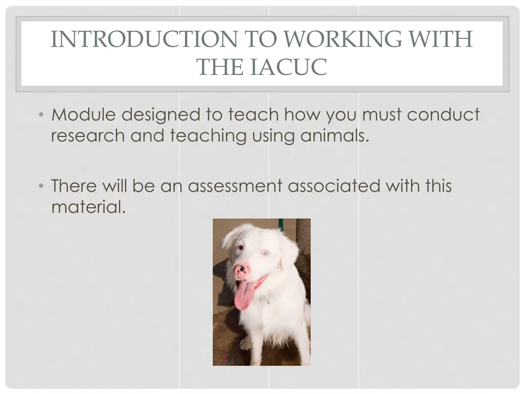 introduction to working with the iacuc