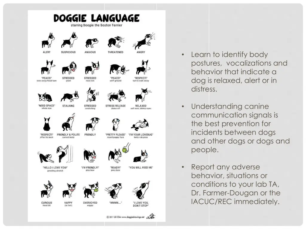 learn to identify body postures vocalizations