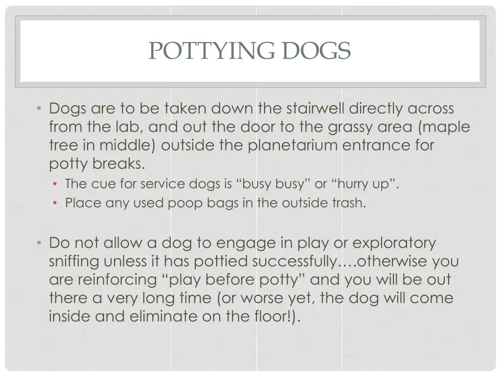 pottying dogs