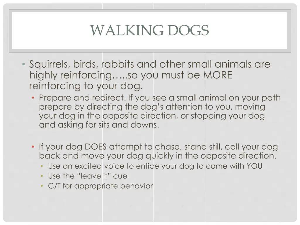 walking dogs 1