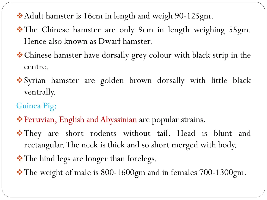 adult hamster is 16cm in length and weigh