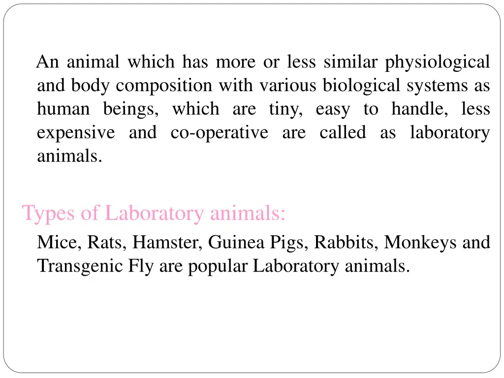 an animal which has more or less similar