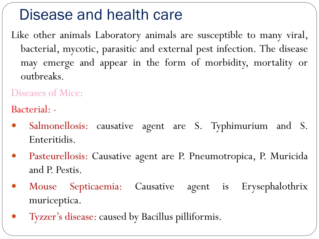 disease and health care like other animals