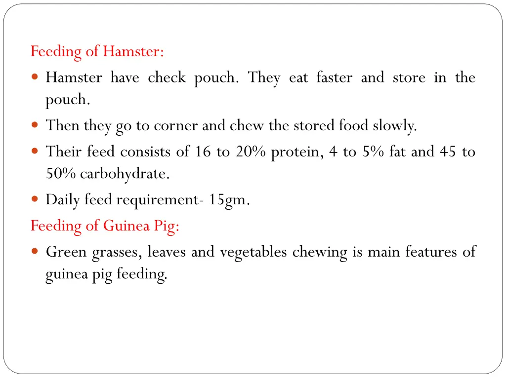 feeding of hamster hamster have check pouch they