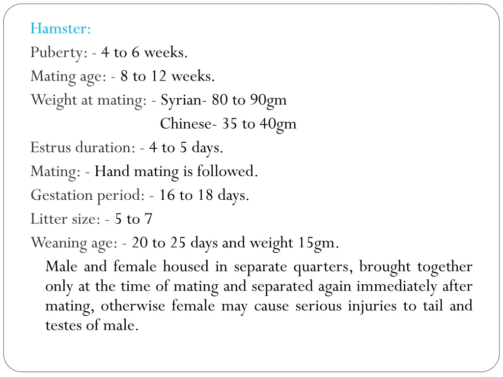 hamster puberty 4 to 6 weeks mating