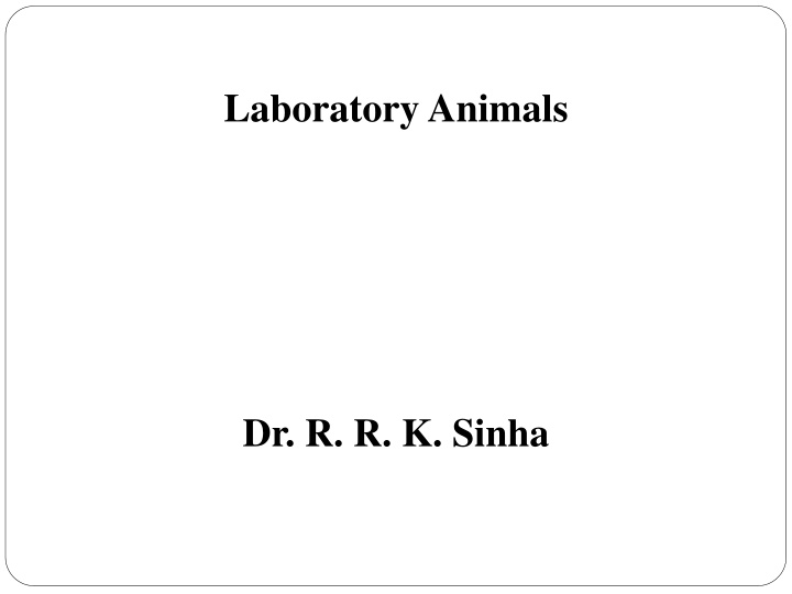 laboratory animals