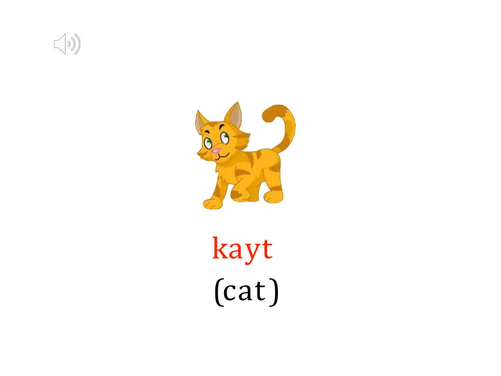 kayt cat