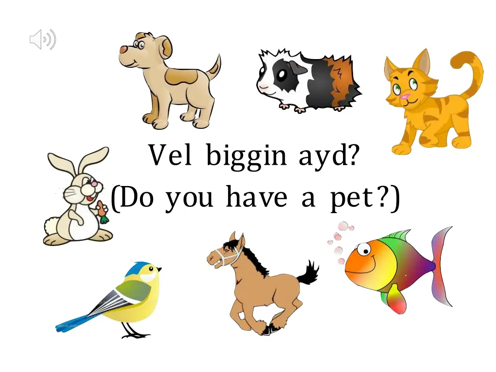 vel biggin ayd do you have a pet 1