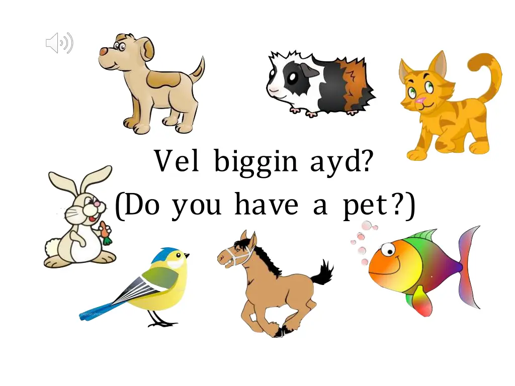 vel biggin ayd do you have a pet