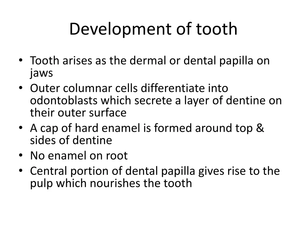 development of tooth