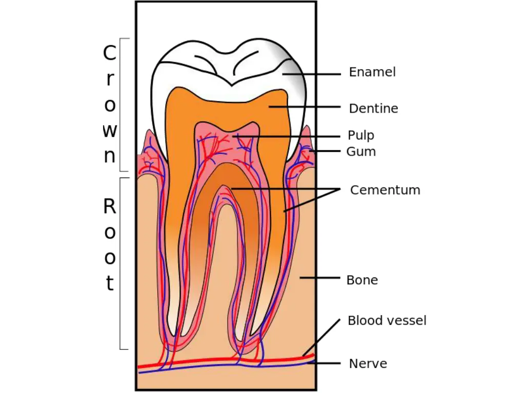 slide6