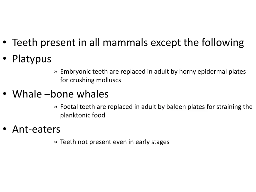 teeth present in all mammals except the following