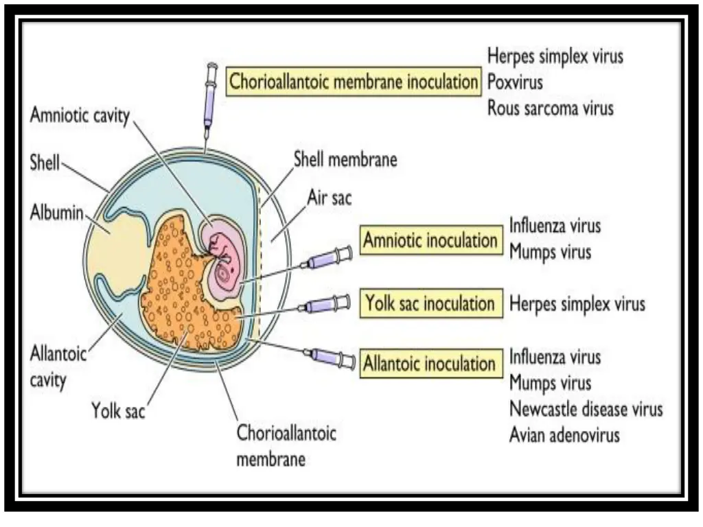 slide22