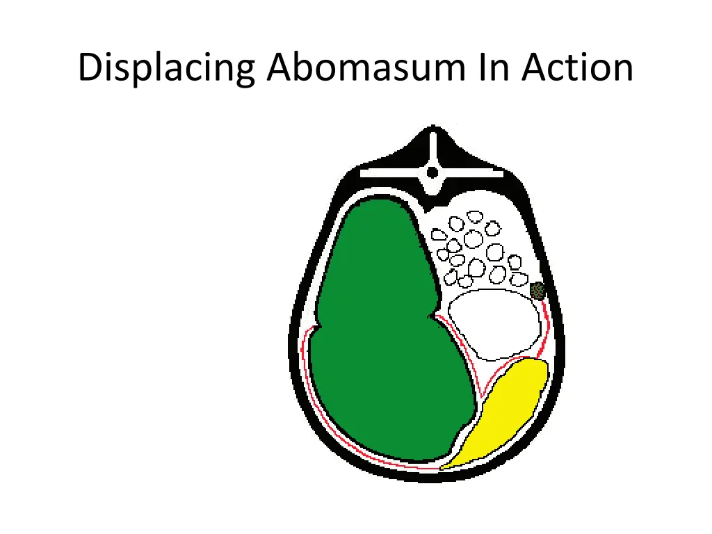 displacing abomasum in action