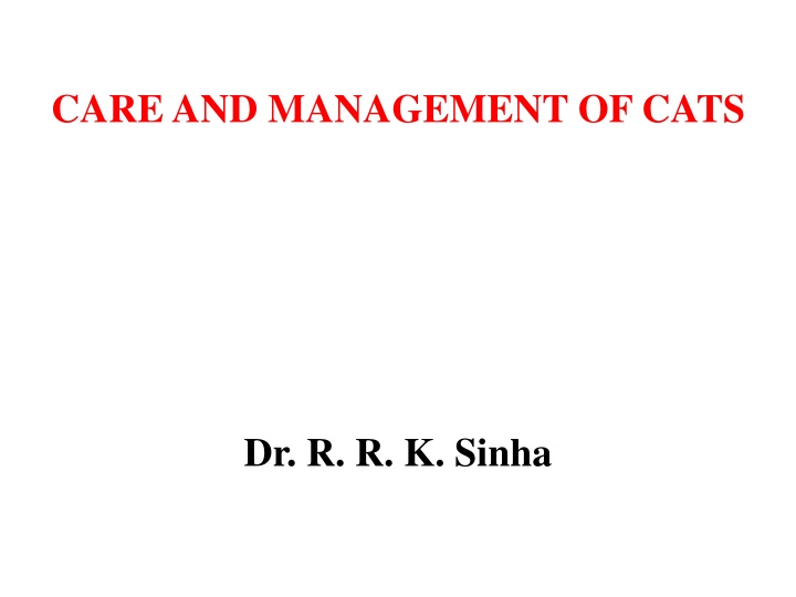 care and management of cats