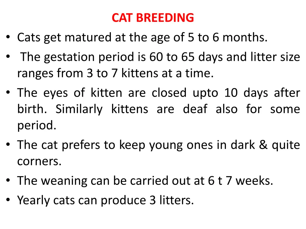 cat breeding