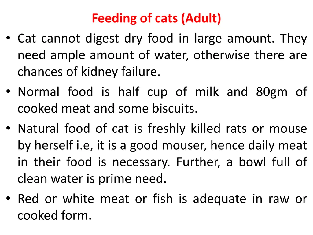 feeding of cats adult