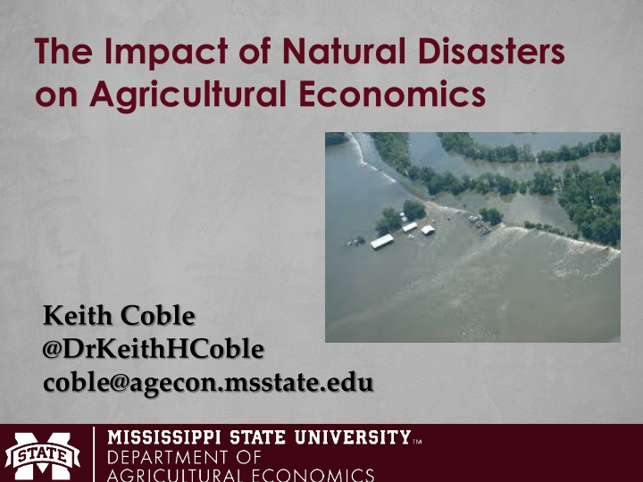 the impact of natural disasters on agricultural