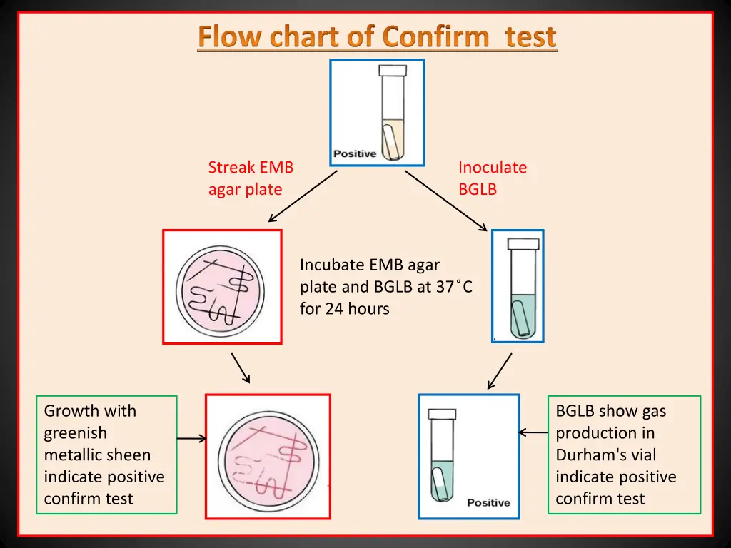 flow chart of confirm test