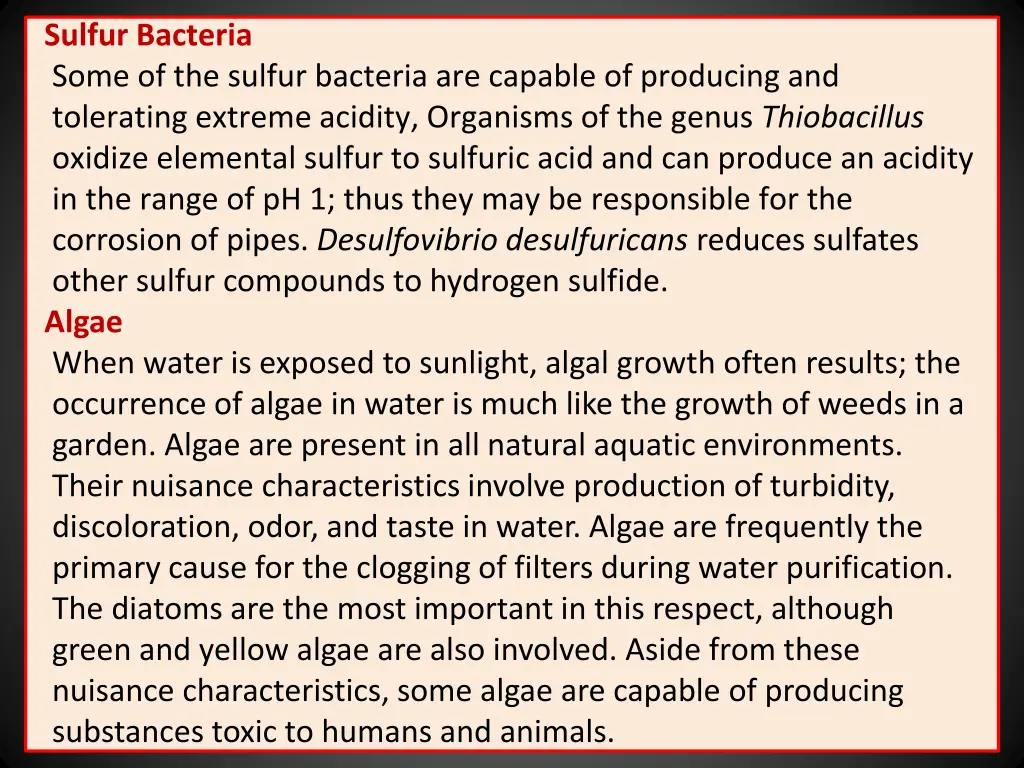 sulfur bacteria some of the sulfur bacteria