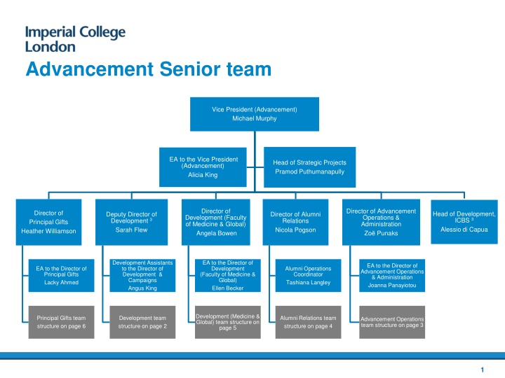 advancement senior team