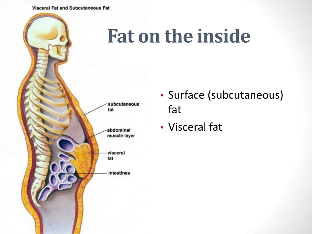 fat on the inside